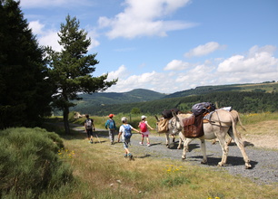 Week-end guidé des Monts  d'Ardèche avec un âne