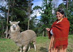 Equateur : rencontres solidaires et naturalistes