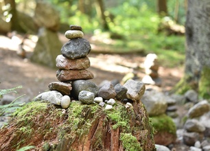 Marche consciente en Auvergne