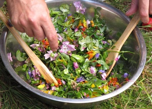 Balades gourmandes dans la Chaîne des Puys