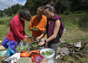 Cueillettes et cuisine sauvage en Auvergne