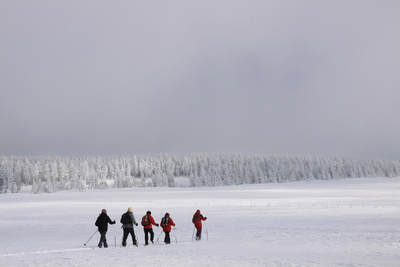 Randonnée guidée en raquettes sur les monts d’Ardèche