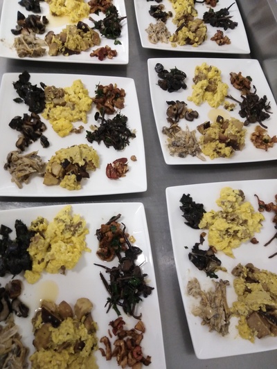 Champignons et plantes comestibles d'automne