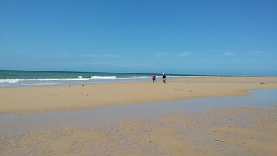 Marche Nordique en Baie de Somme