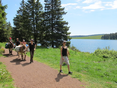 5 days with a donkey in Auvergne